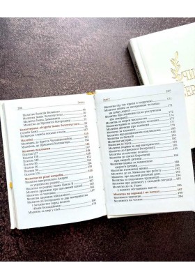 Чиста серцем. Молитовник жінки (сучасні ікони)